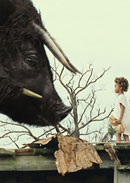 Beasts of the Southern Wild Bild 4
