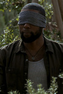 Bird Box Bild 3