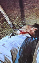 Der Irre vom Zombiehof Bild 2