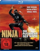 Die Rückkehr der Ninja Bild 3