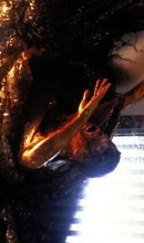 Species Bild 6