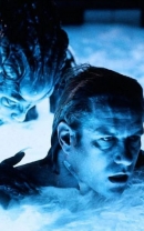Species Bild 7