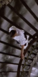 Spider Labyrinth Bild 5