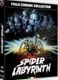 Spider Labyrinth