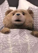 Ted Bild 2