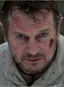 The Grey Bild 3