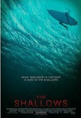 The Shallows