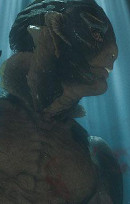 The Shape of Water Bild 2