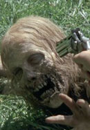 The Walking Dead - Staffel 1 Bild 4