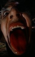 Anima Persa Bild 3