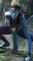 Avatar Bild 6
