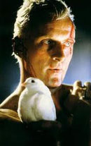 Blade Runner Bild 6