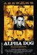 Alpha Dog