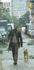 I Am Legend Bild 1