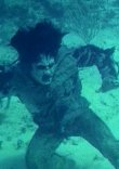 Woodoo - Die Schreckensinsel der Zombies Bild 2